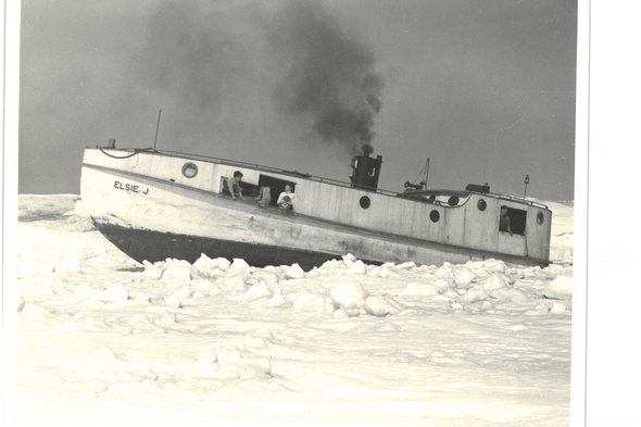 Image of ELSIE J in snow